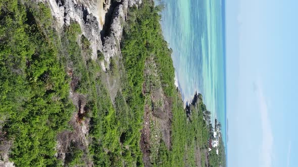 Zanzibar Tanzania  Ocean Shore Covered with Green Thickets Vertical Video Aerial View