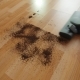 Vacuuming a Mess Floor - VideoHive Item for Sale