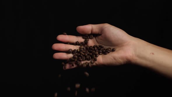 Hand Holding Roasted Coffee Beans On Black Background