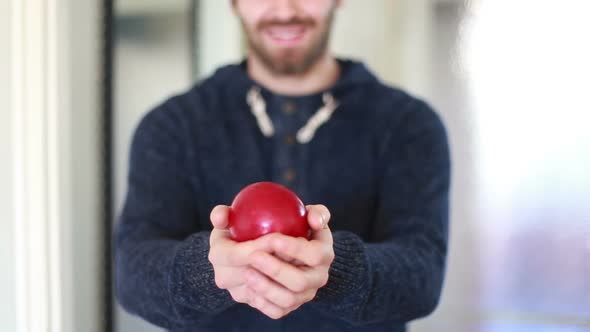 View Of Man Hands Holding Apple