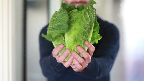 View Of Man Hands Holding Bunch Of Kale