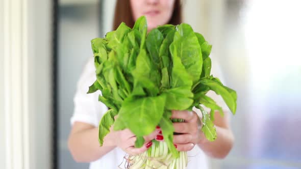 View Of Woman Hands Holding Bunch Of Spinach 1