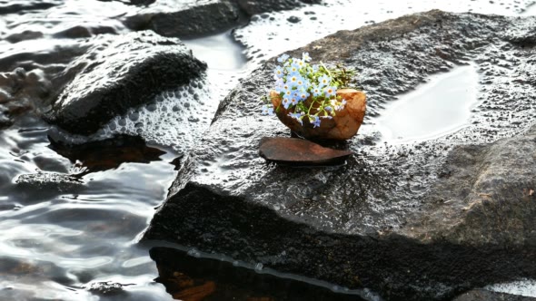 Bouquet of Blue Flowers on a Stone at Lake Shore