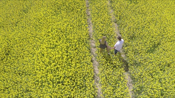  Affectionate Man And Woman Holding Hands While Running On Oilseed Rape Farm.