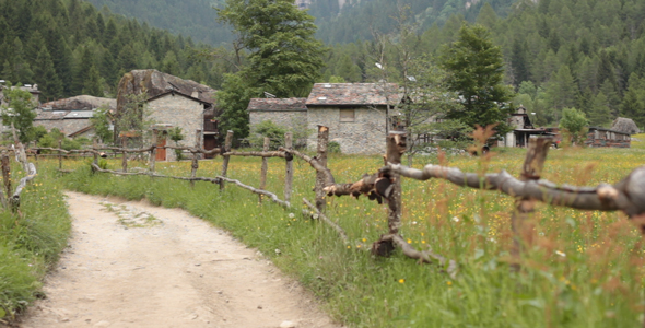 House in the Nature