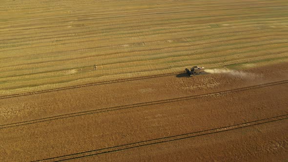 Aerial View Combine Harvesting Wheat