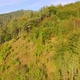 Aerial view, Alps Mountain and green forest - VideoHive Item for Sale