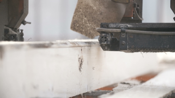 Wood Cutting Machine Board Log In a Sawmill