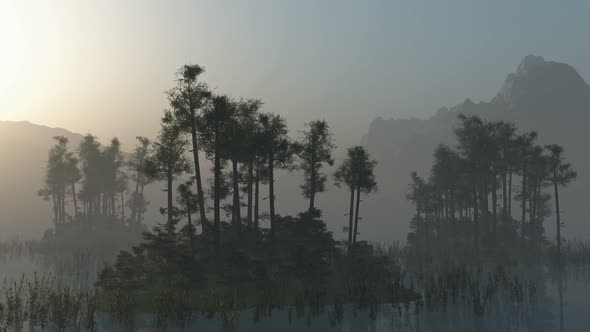 Islands With Trees On Lake With Fog 1