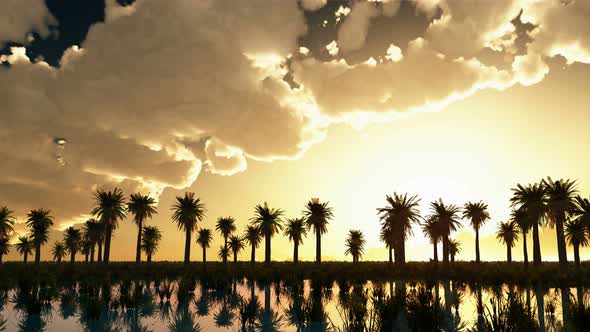 Palms At Sunset With Clouds 4