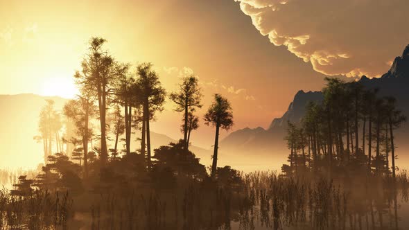 Islands With Trees On Lake 4 alt