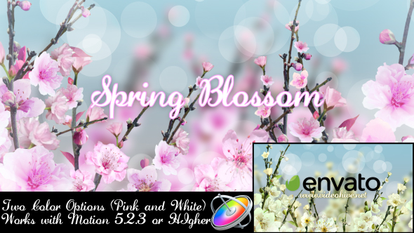 Spring Blossom - Apple Motion