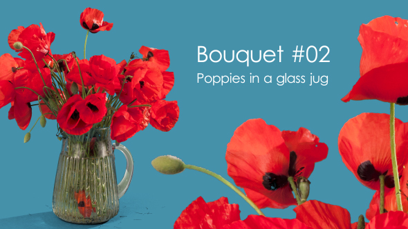 Bouquet #02 - Poppies in a glass jug