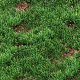 Grass seamless texture for CG - 3DOcean Item for Sale