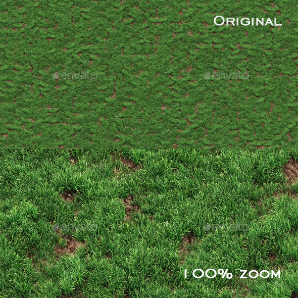 Grass seamless texture for CG