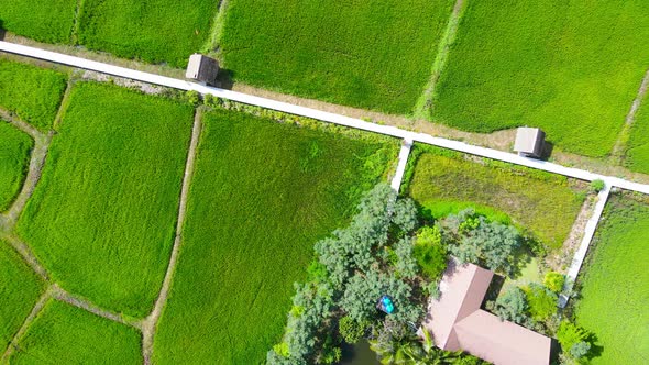 Aerial view green field meadow Top down view Shot on drone camera video.
