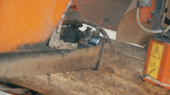 Cutting Wood In a Sawmill