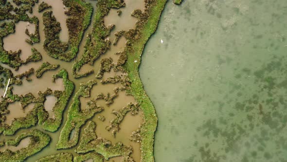 Top down view of wetland.