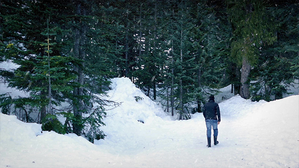 Man Walking In Snowy Forest