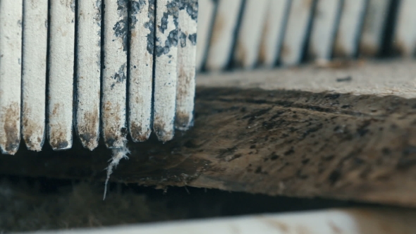 Cutting Wood In a Sawmill