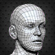 Low Poly Human Head - Base Mesh - 3DOcean Item for Sale