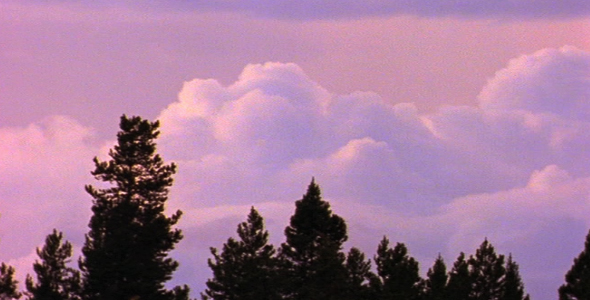 Time lapse of Dark Clouds Over Forest 2 alt