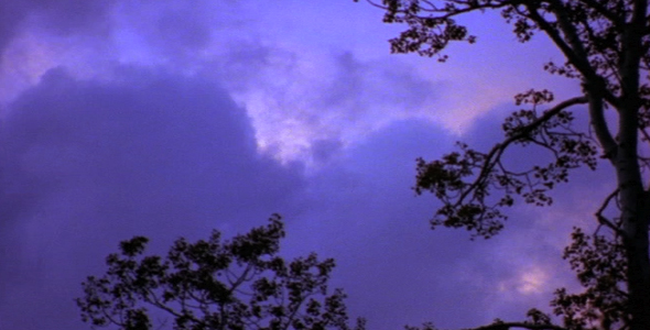 Time lapse of Clouds Through Tree