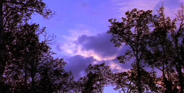 Time lapse of Clouds Over Forest 4