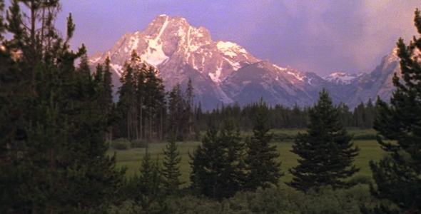 Forest Clearing with Tetons at Dawn alt