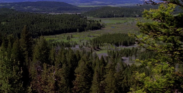 Forest to Valley Scenic