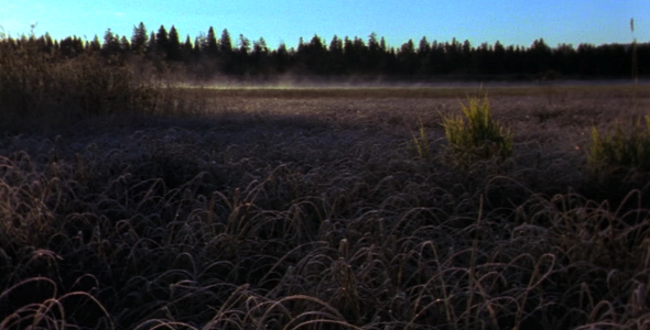 Wind Blowing Dust alt