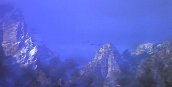 Birds Flying over Mountains alt