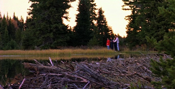 Family Enjoying nature