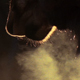 Steamy Moose Breath - VideoHive Item for Sale