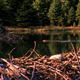 Beaver Lodge and Dam - VideoHive Item for Sale