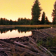 Scenic Beaver Pond - VideoHive Item for Sale