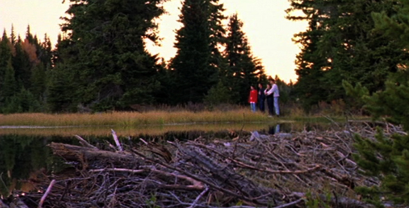 Family Watching for Beaver
