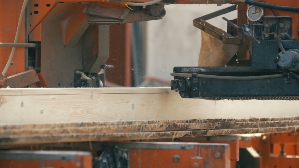 Wood Cutting Machine Board Log In a Sawmill
