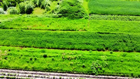 Aerial drone view of a flying over the rural agricultural landscape.