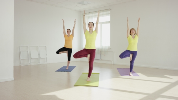 Slender Fit Women Doing Yoga On Exercise 