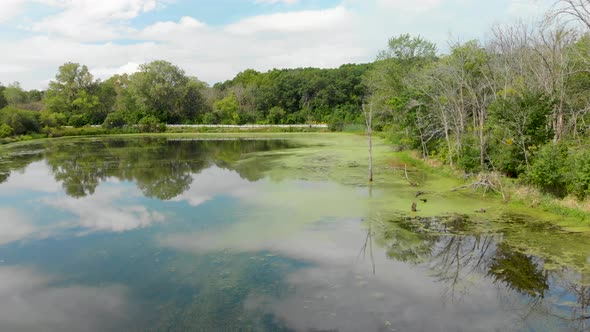 cars driving down a rural country road next to a lake full of algae left drone flight 4k