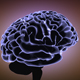 Fast Brain Activity - VideoHive Item for Sale
