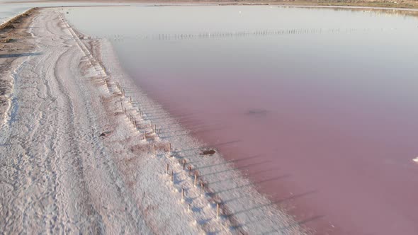 Crystallized salt on muddy bottom in upper Kuyalnik estuary, Ukraine. 