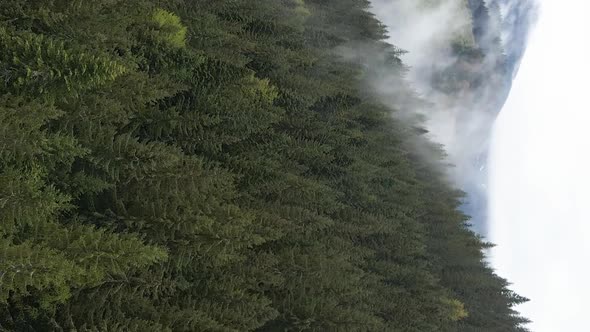 Vertical Video of Fog in the Mountains