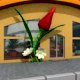 Low poly Flower Shop - 3DOcean Item for Sale