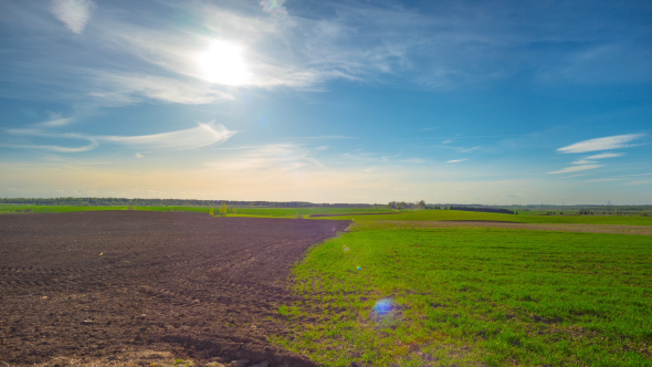 Spring Field And The Sun