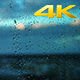 Raindrops on a Window. - VideoHive Item for Sale