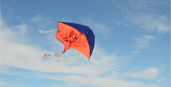 Kite 8