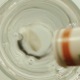 Soluble Pill in Glass of Water - VideoHive Item for Sale