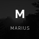 Marius - Responsive Masonry Blog Tumblr Theme - ThemeForest Item for Sale